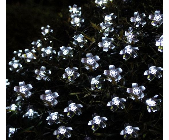 50 Led String Fairy Lights Solar Powered Outdoor Light for Garden,Christmas Tree, Wedding Party, Patio Decoration(White Blossom)