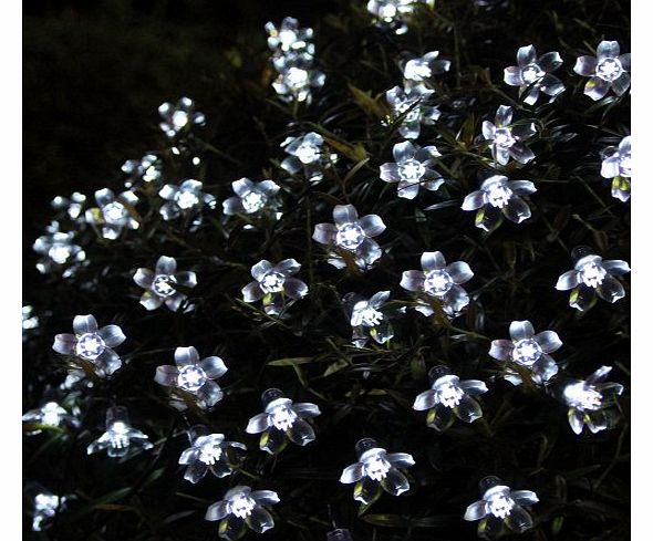 Innoo Tech 50 Led String Fairy Lights Solar Powered Outdoor Light for Garden,Christmas Tree, Wedding Party, Patio Decoration(White Blossom)