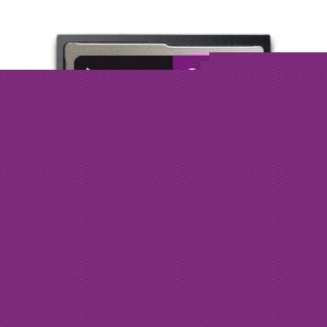 Integral 32GB 300X Ultima Pro Compact Flash Card