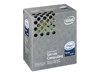 intel Quad-Core Xeon X3230 / 2.66 GHz processor