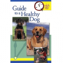 Interpet Publishing Quick and Easy Guides Healthy Dog (Paperback)