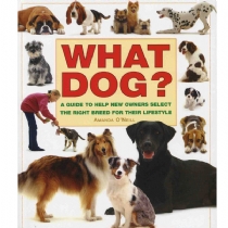Interpet Publishing What Dog? (Paperback)