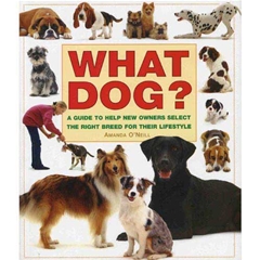 Interpet What Dog? (Book)