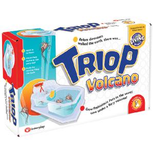 Interplay Triop Volcano