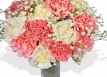 InterRose FREE Delivery - Carnation Carnival Bouquet - A luscious arrangement of Pink and White Carnations