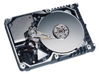Iomega Maxtor Atlas 10K IV - Hard drive - 146.9 GB - standard - 3.5" - SCSI Ultra320 - 10000 rpm - 8 M