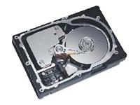 Iomega Maxtor Atlas 15K - Hard drive - 73.4 GB - standard - 3.5" - SCSI Ultra320 - 15000 rpm - 8 MB