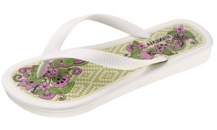 Paradise White
