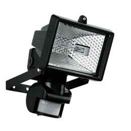 IQ GROUP 150-WATT SECURITY LIGHT