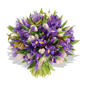 Iris and Tulip Bouquet - flowers