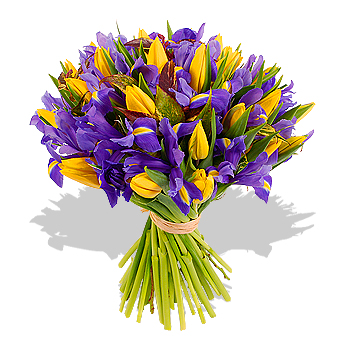 Iris and Yellow Tulip Bouquet - flowers