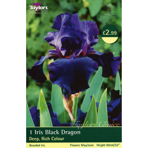 IRIS Black Dragon Bulb