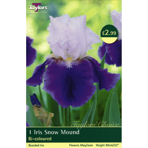 IRIS Snow Mound Bulb