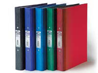 IXL Selecta A4 jade green ring binder with two round