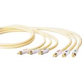 XHV804-100 Component Video Lead 1m