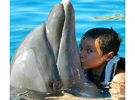 IXTAPA Dolphin Encounter - Child