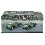 Jaguar C-Type Le Mans 1951 amp 1953