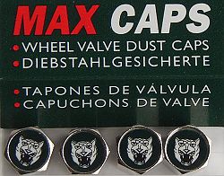 Dust Caps