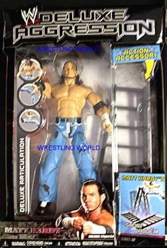 Jakks WWE Deluxe Aggression 10 MATT HARDY Wrestling Figure