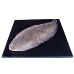 Dover Sole