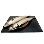 Mackerel