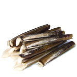 Razor Clams