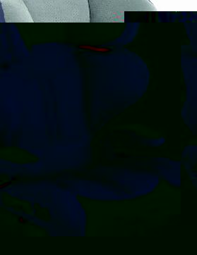 Jane, Inc. Jane Montecarlo R1 Car Seat (Yale)