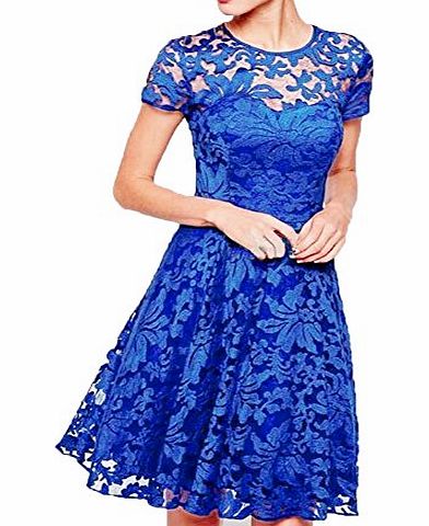 Janecrafts Womens Cute Lace Tunic Bodycon Pleated Flare Cocktail Party Mini Dress