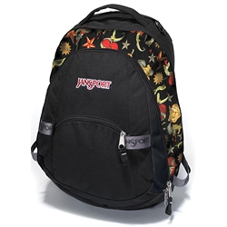 Trinity backpack + FREE JanSport Media Player arm band