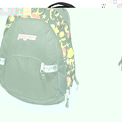 JanSport Trinity backpack