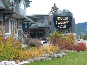 JASPER Mount Robson Inn