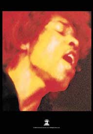 Jimi Hendrix Head Ladyland Textile Poster