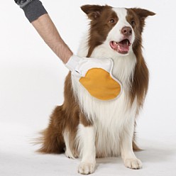 JML Pet Mitt