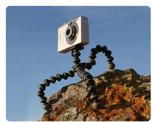 - Gorillapod for Compact Cameras