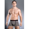 Jockey Aspen Lodge Stripe Trunk 190218H