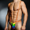 Joe Snyder rainbow body 27