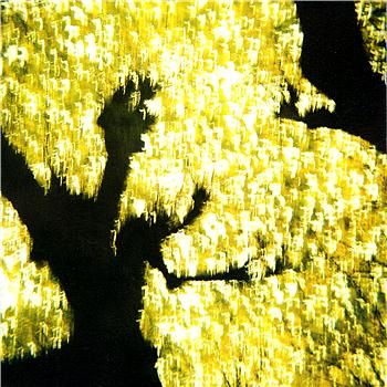 Johan Hedin Angel Archipelago