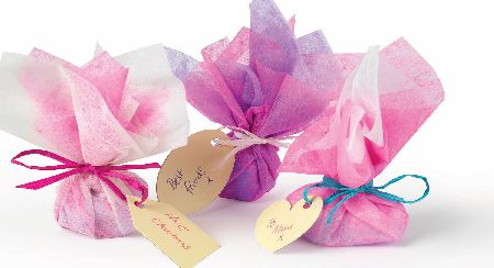 John Adams Bubbling Beauty