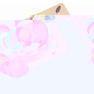 John Crane Ltd Chelona Chicken Family Layered Jigsaw Puzzle