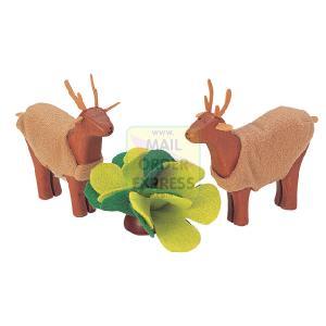 PINTOY Wildlife Park Deer