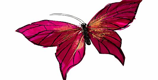 John Lewis Butterflies, Magenta, Pack of 2