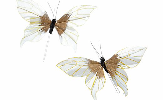 John Lewis Butterfly Accessory, Pack of 2