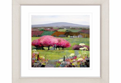John Lewis Debbie Neill - Time for Cherry Blossom Framed