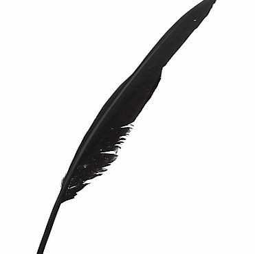 John Lewis Goose Quill Feather, Black