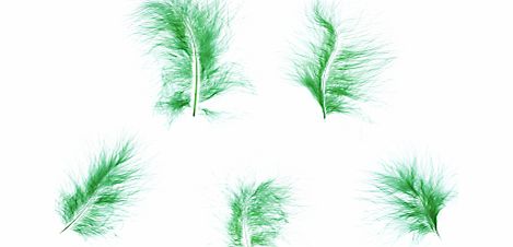 John Lewis Marabou Feathers, Pack of 5