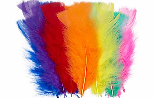John Lewis Multicoloured Feathers