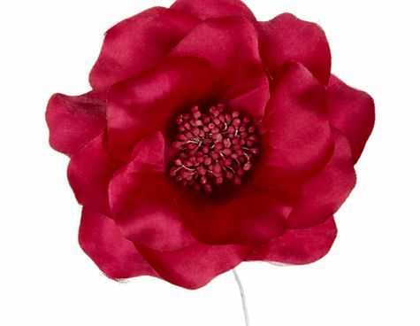John Lewis Open Rose Corsage, Large