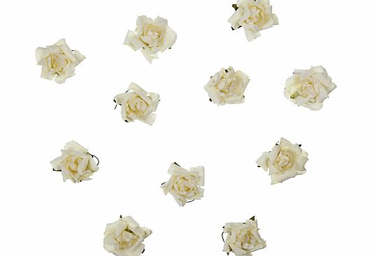 John Lewis Paper Rose Heads, Pack of 20