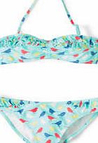 Johnnie  b Pretty Bikini, Opal Tweet 34723221