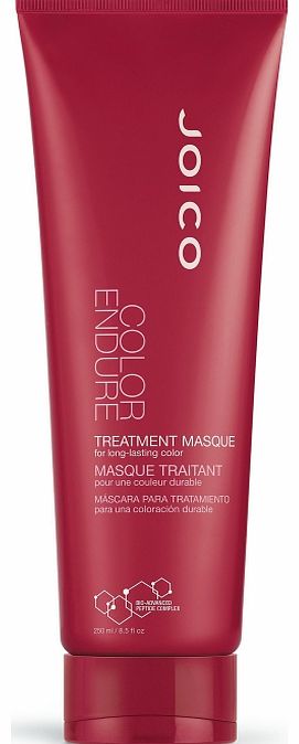 Joico Color Endure Treatment Masque 250ml